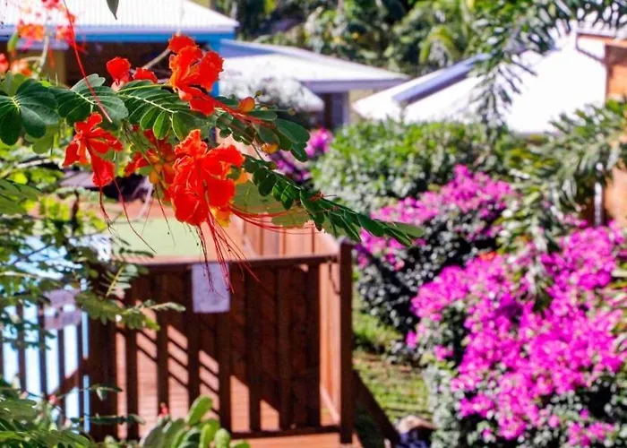 Hôtel de luxe: amour Deshaies